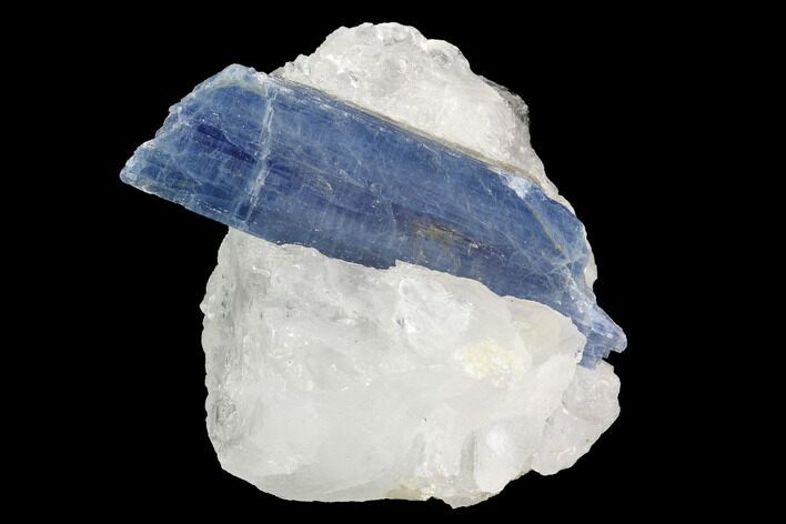 Vibrant Blue Kyanite Crystal in Quartz - Brazil #95579